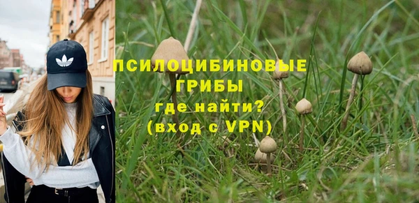 винт Алексин