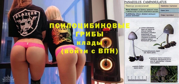a pvp Абдулино