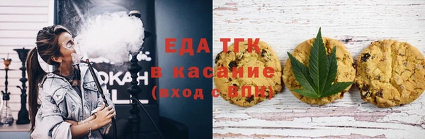 стаф Аркадак