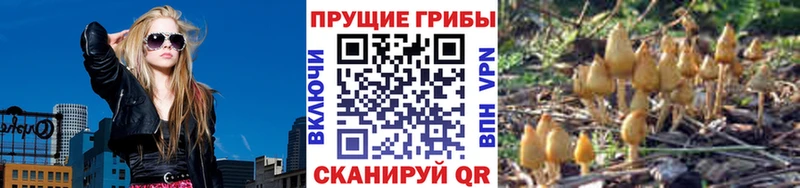 Галлюциногенные грибы ЛСД  blacksprut ТОР  площадка состав  Чишмы 
